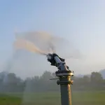 Come funziona un sistema di irrigazione a pioggia